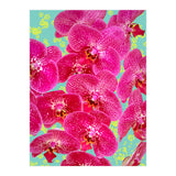 Finding My Way Back To Myself, Botanical Nature Plants Floral, Flowers Garden Colorful Boho Painting Summer Blossom (Print Only) thumbnail