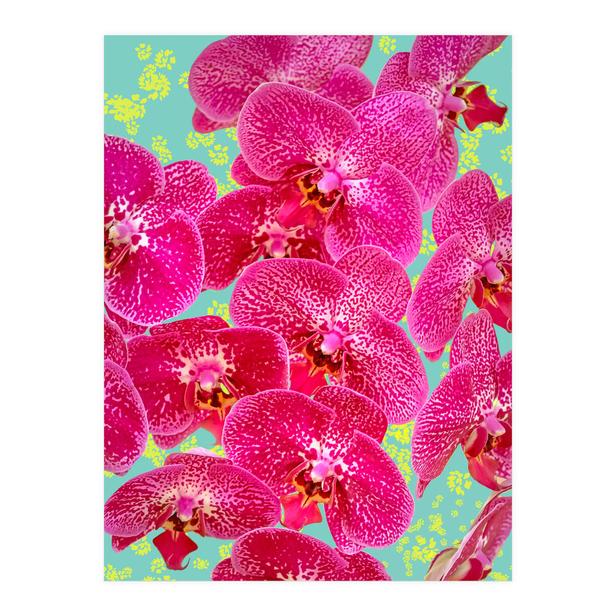 Finding My Way Back To Myself, Botanical Nature Plants Floral, Flowers Garden Colorful Boho Painting Summer Blossom (Print Only)