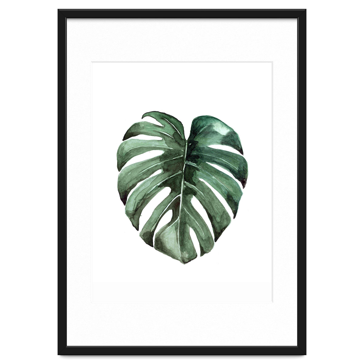 Botanical Illustration Monstera Deliciosa