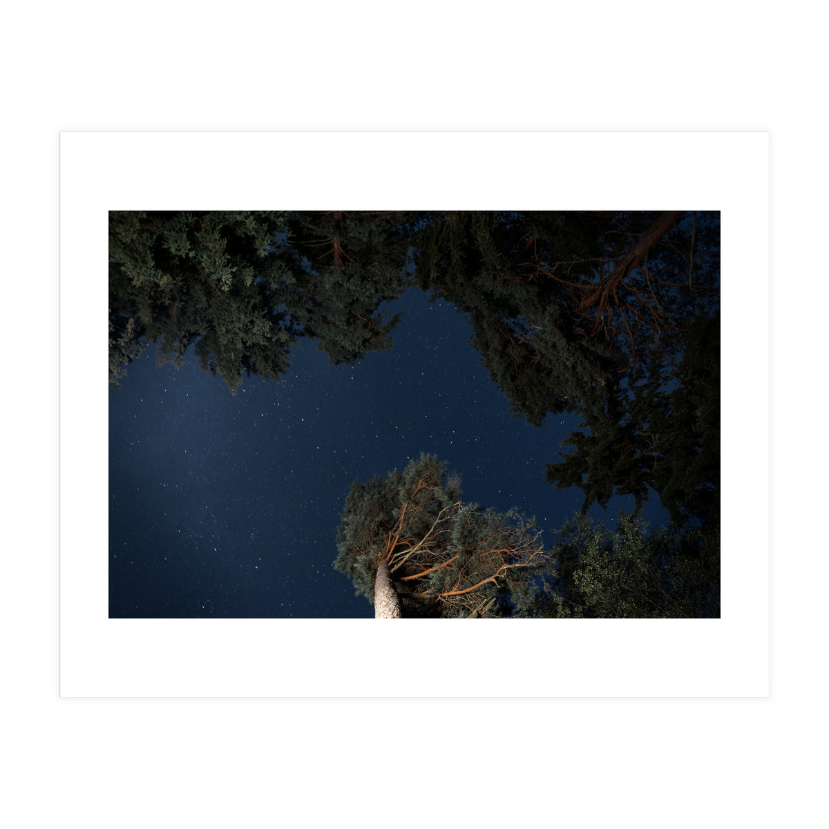 Sputnik Turntables (Print Only)