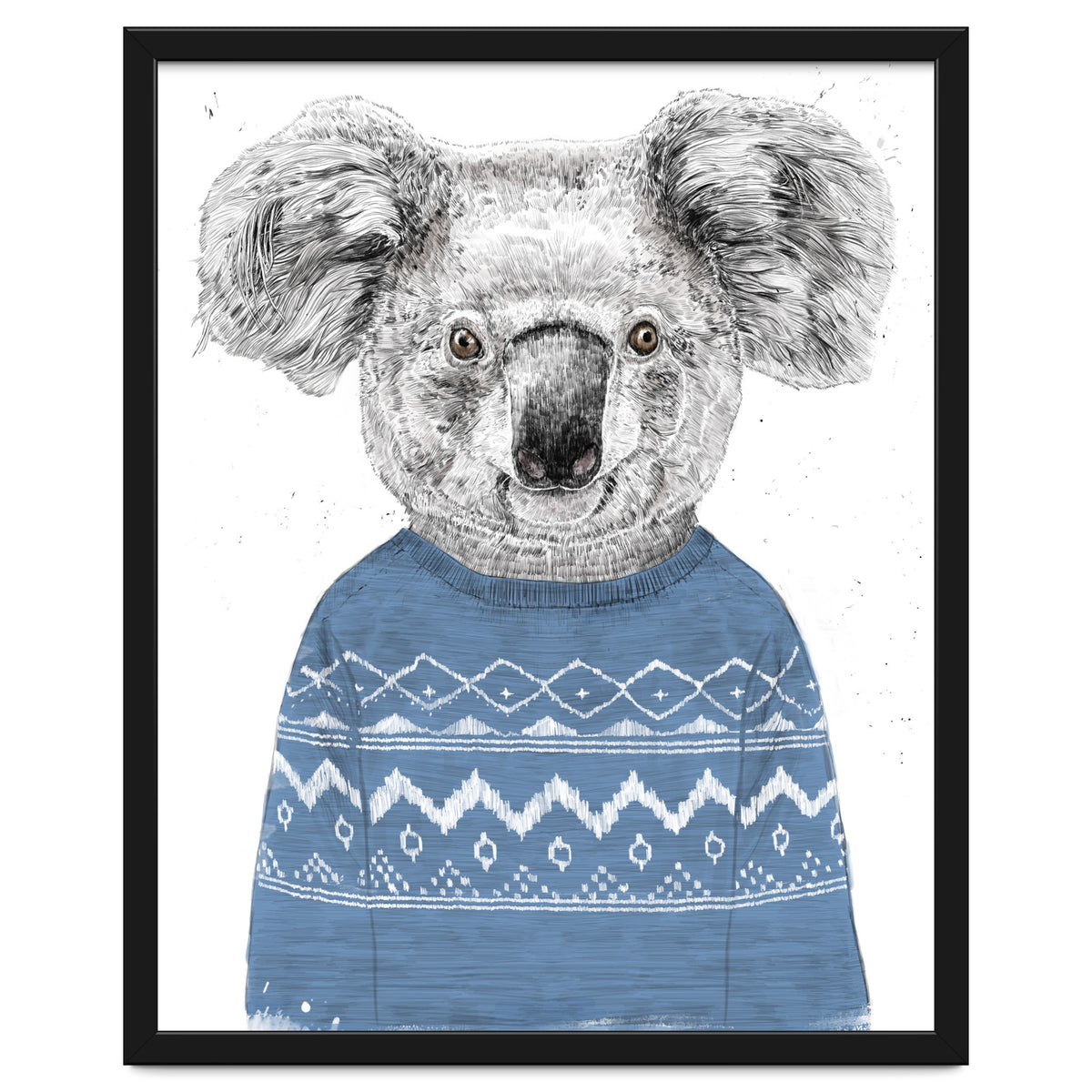 Winter Koala