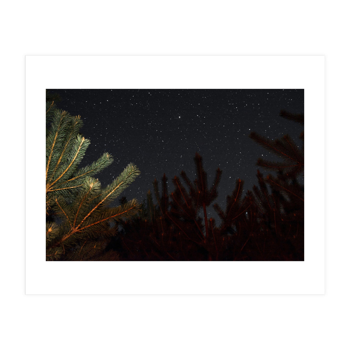 Sputnik Turntables (Print Only)