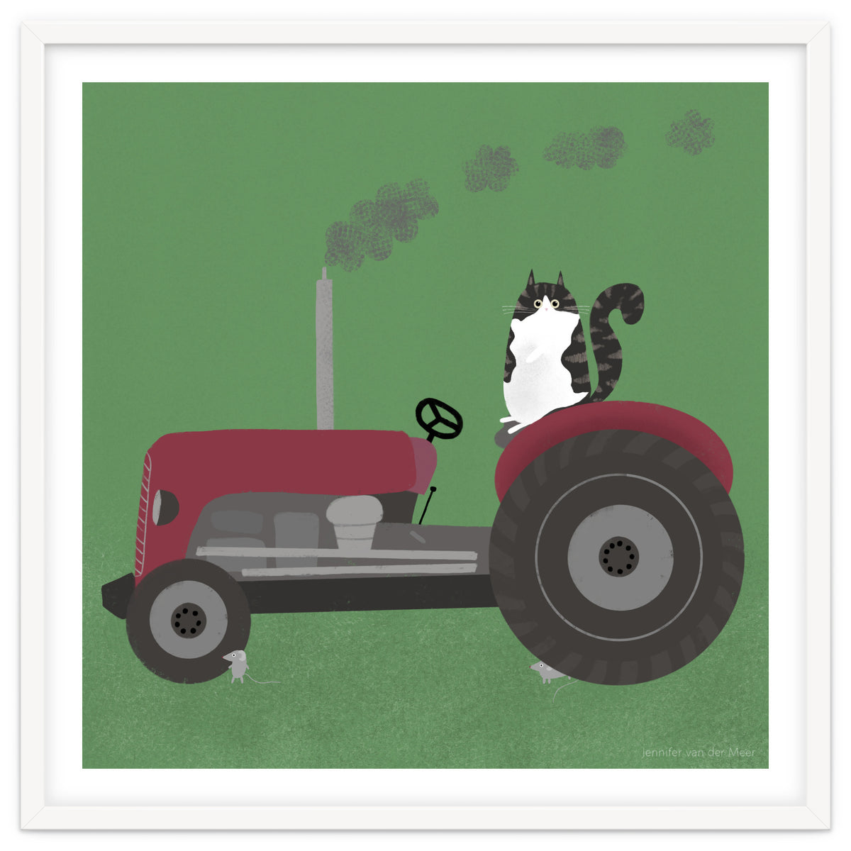 Cat 84: The farm cat