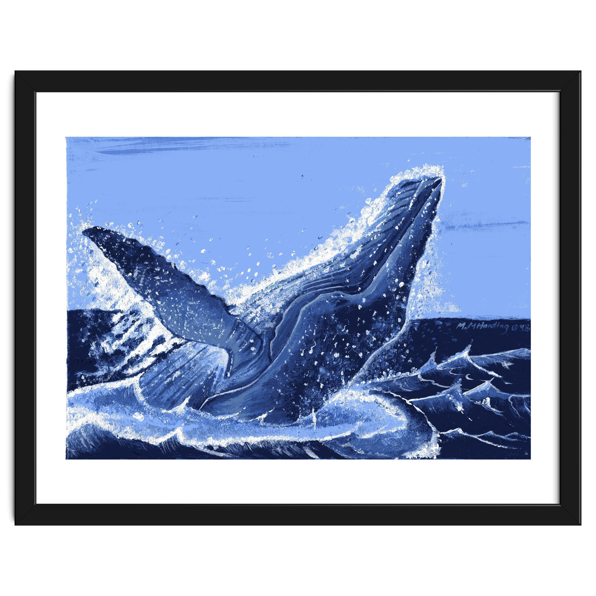 Humpback Whale Breaching