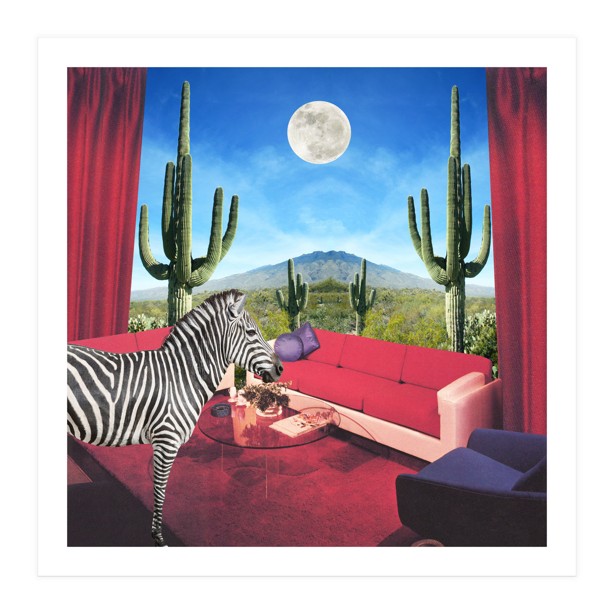 Saguaro Stripes (Print Only)