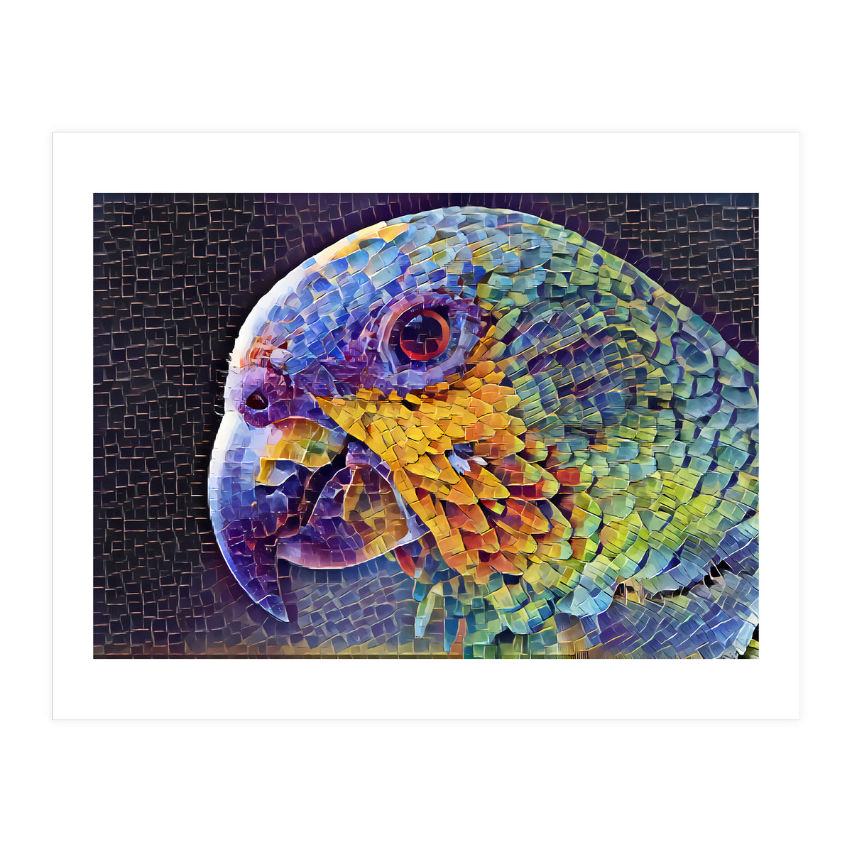 Parrot (Print Only)