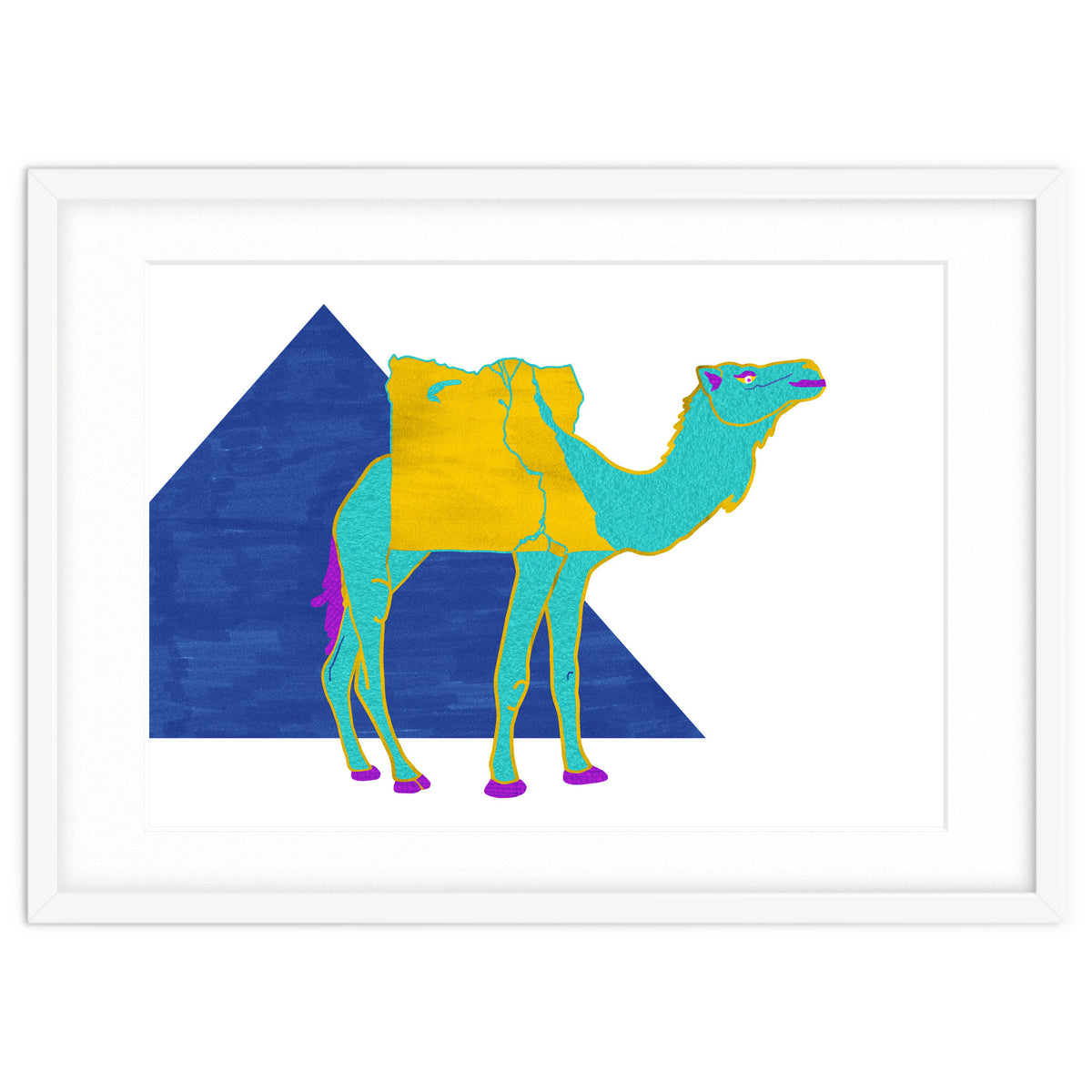 Egyptian Dromedary