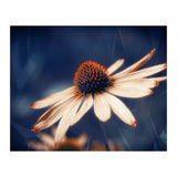 Flowers Indigo (Print Only) thumbnail