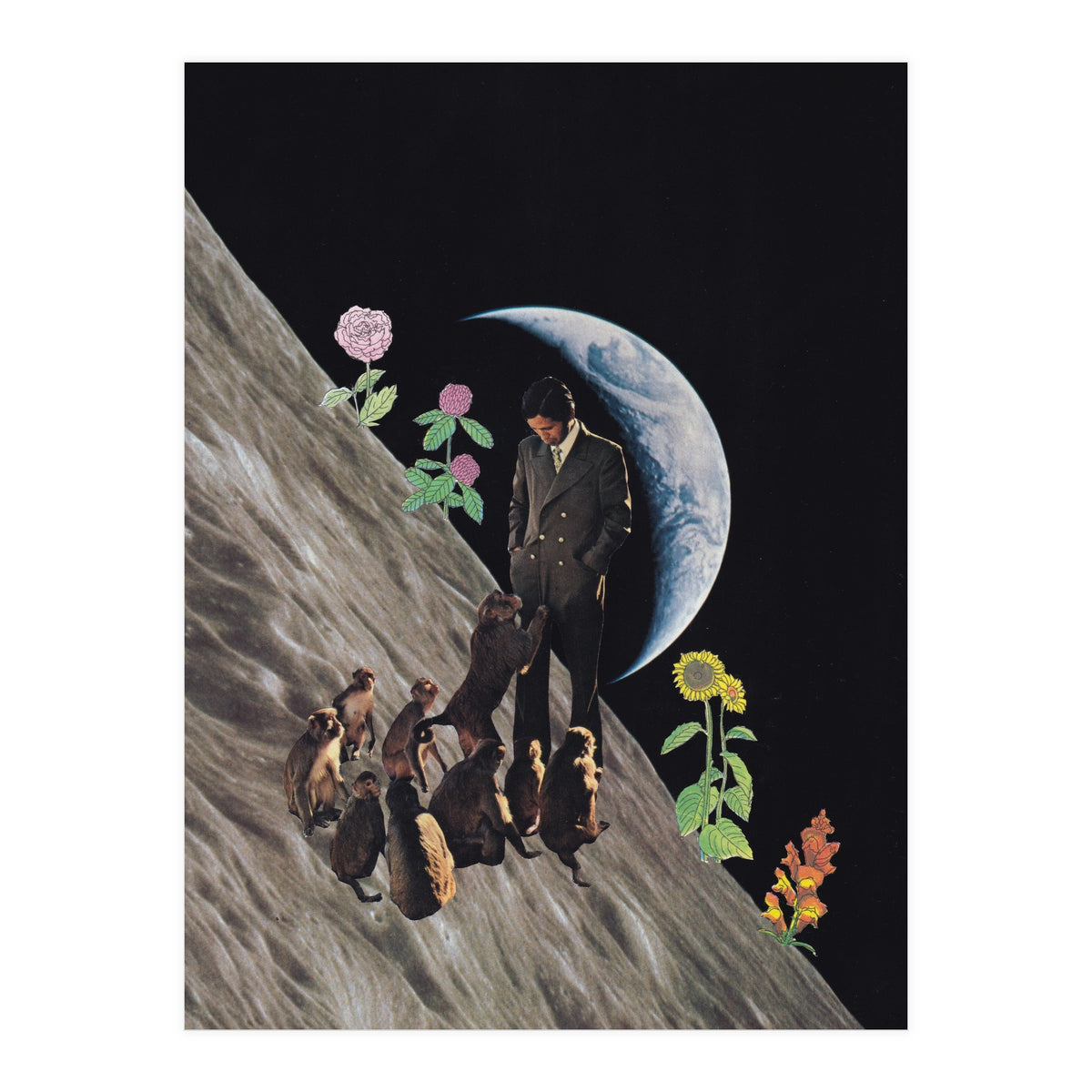 Weird Dream (Print Only)