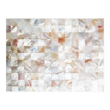 Mother of Pearl, Exotic Tiles Photography, Neutral Minimal Geometrical Graphic Design (Print Only) thumbnail