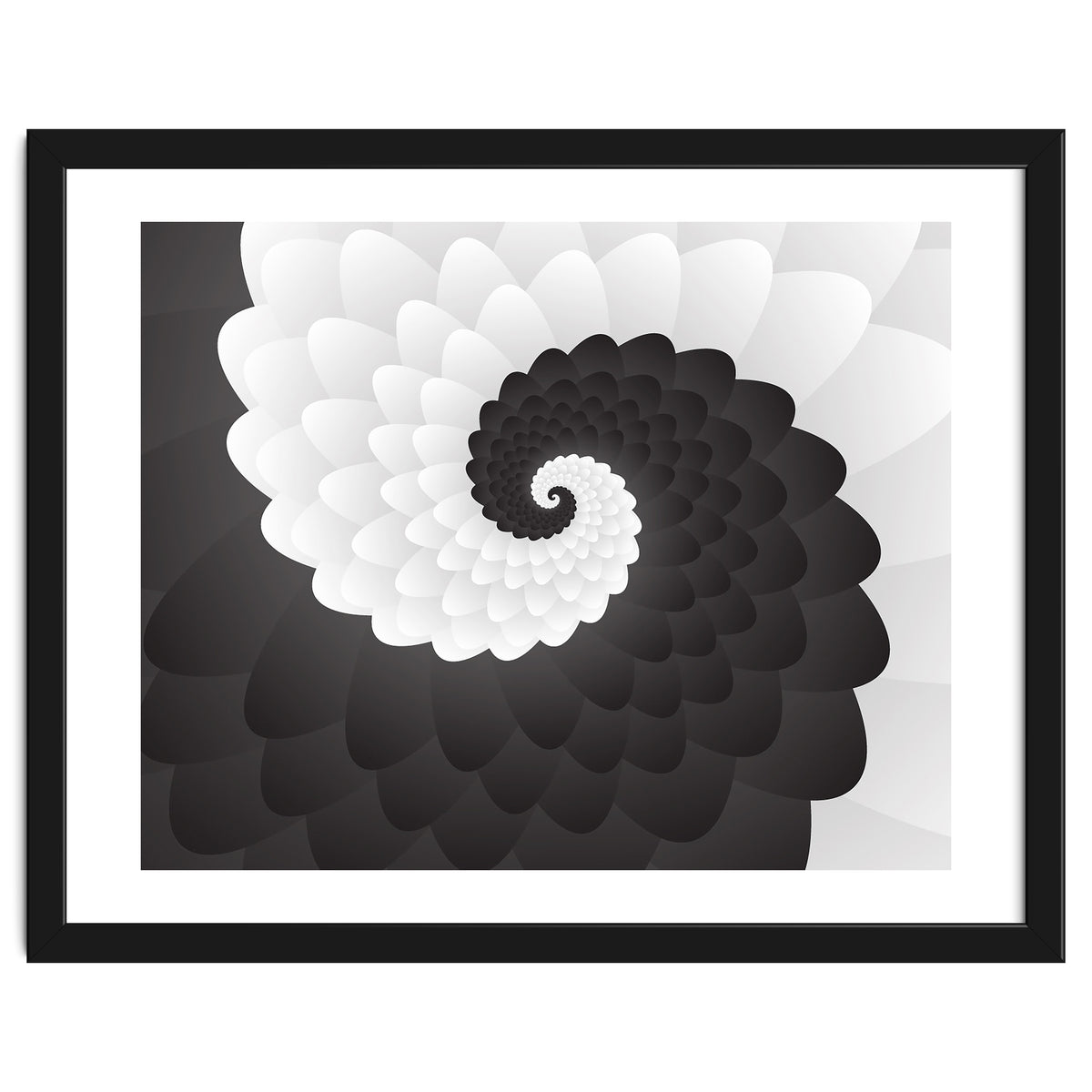 Mono Chrome Spiral Pattern