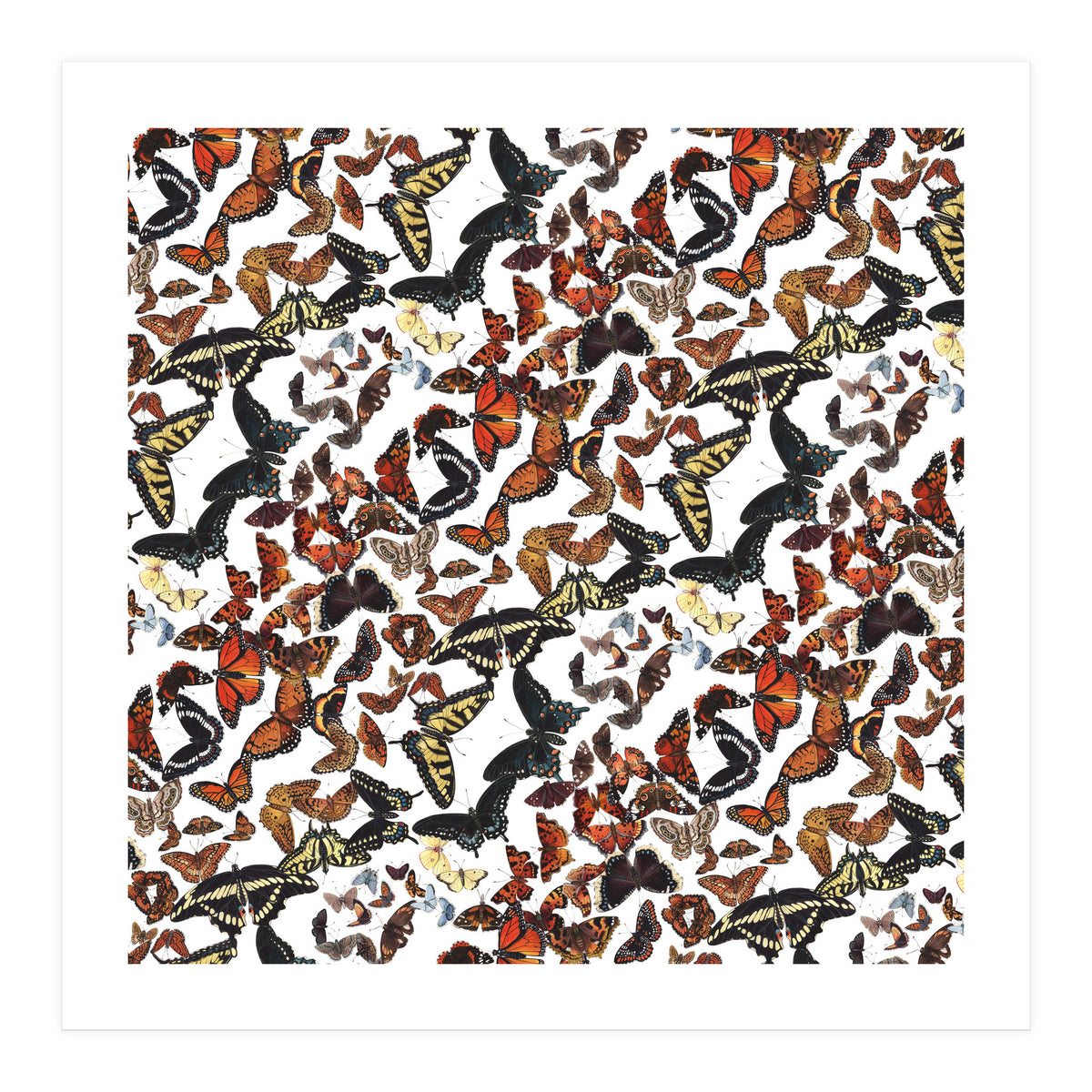 Maine Butterflies Pattern (Print Only)