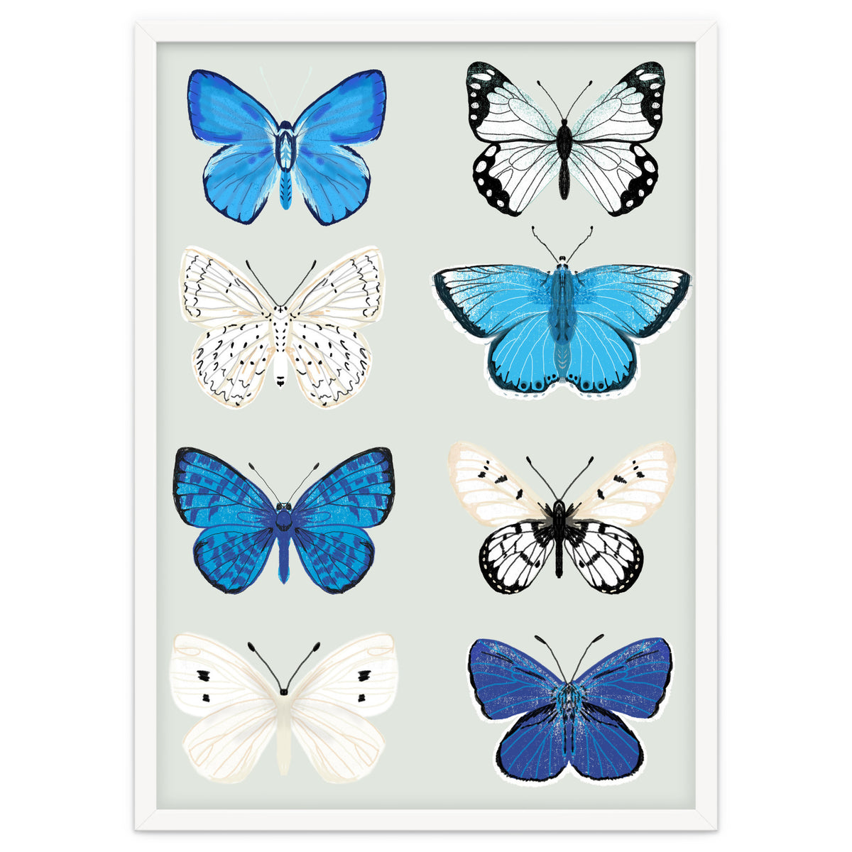 Lepidoptery Study No. 3