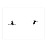 Crane(s) II (Print Only) thumbnail