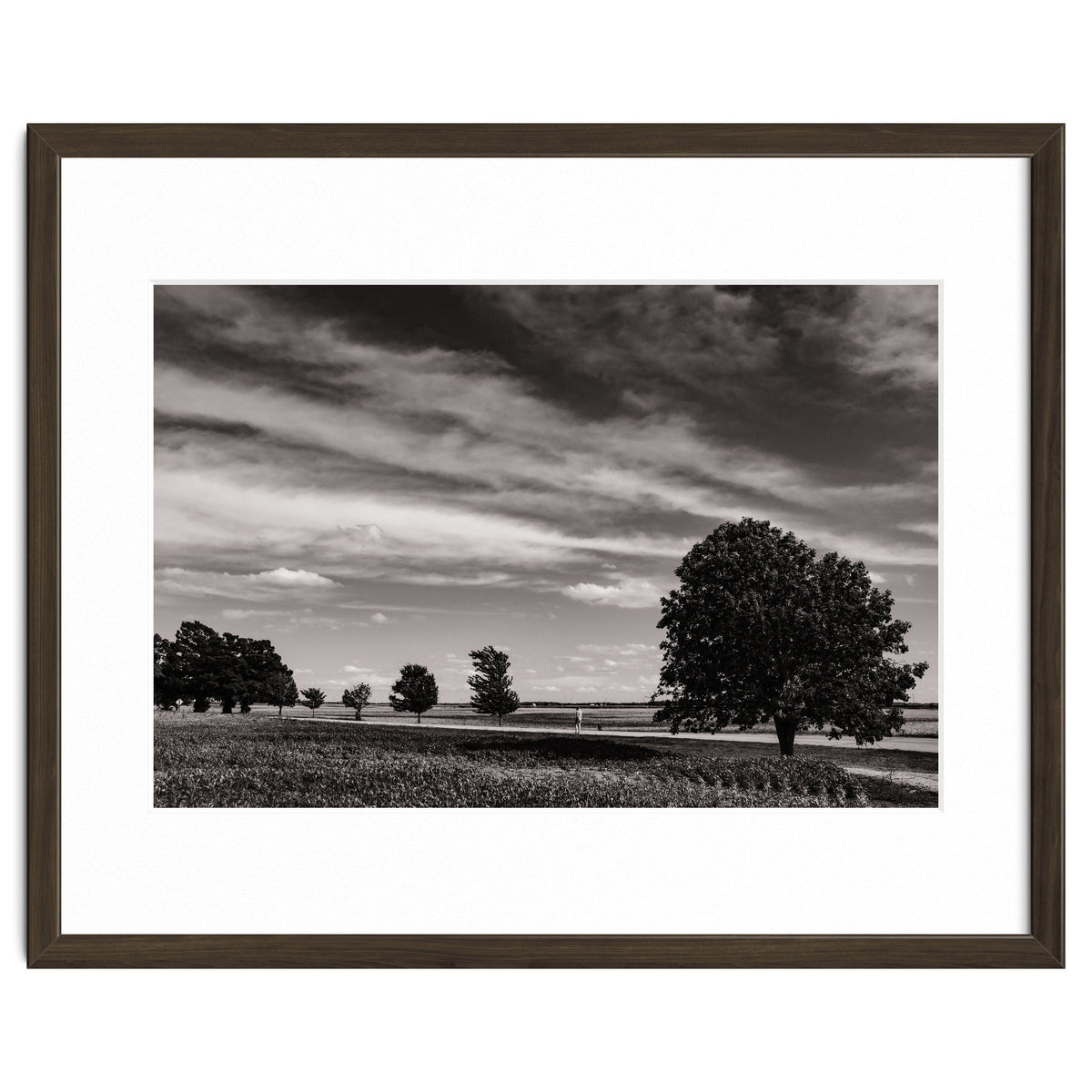 Country Road, Illinois