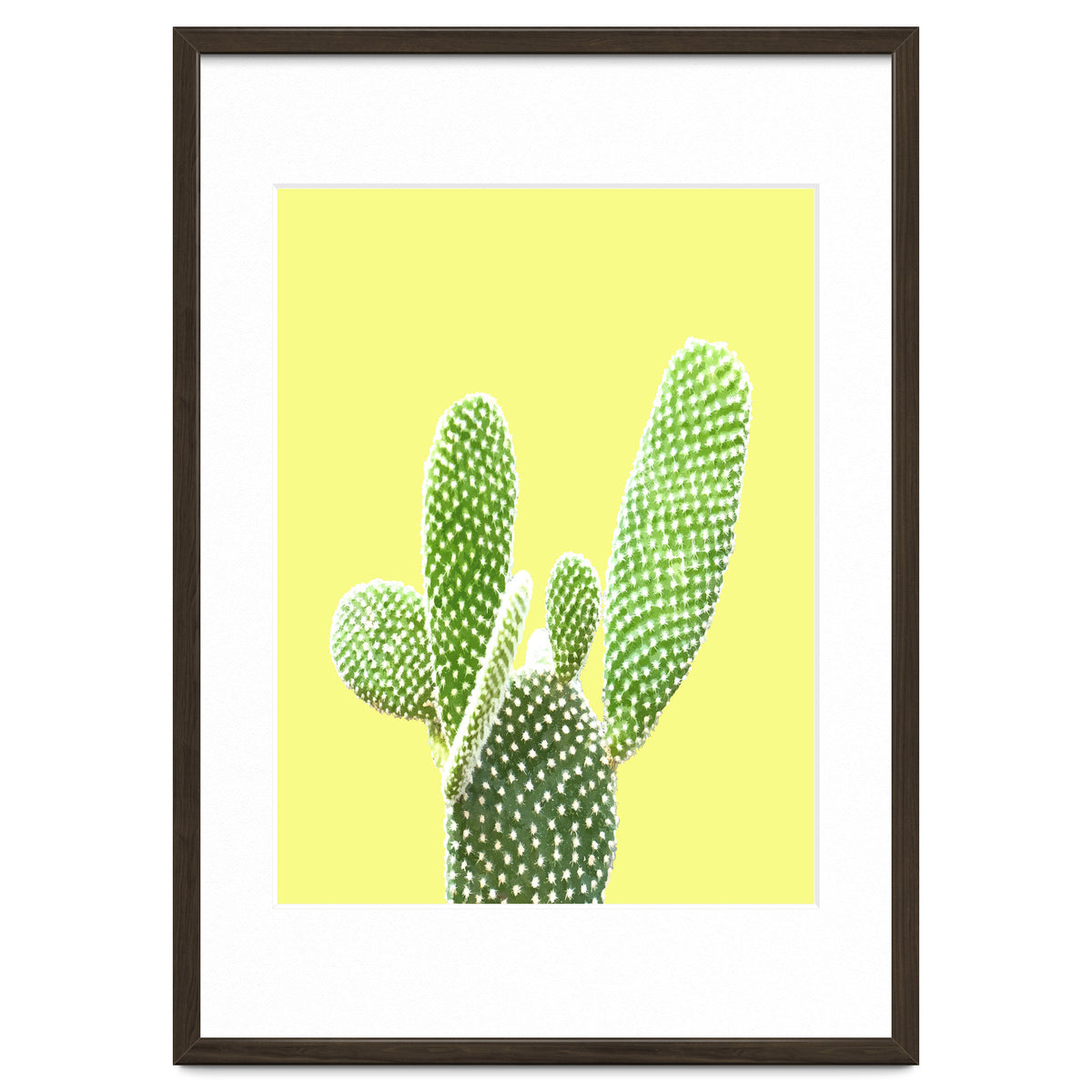 Cactus Yellow Background