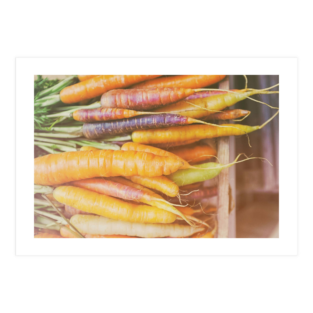 Carrots (Print Only)