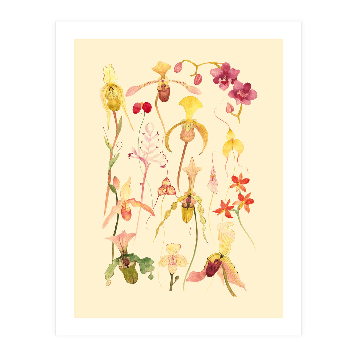 Orchids #3 (Print Only)