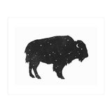 Mystic Buffalo (Print Only) thumbnail