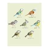 The Tit Family (Print Only) thumbnail
