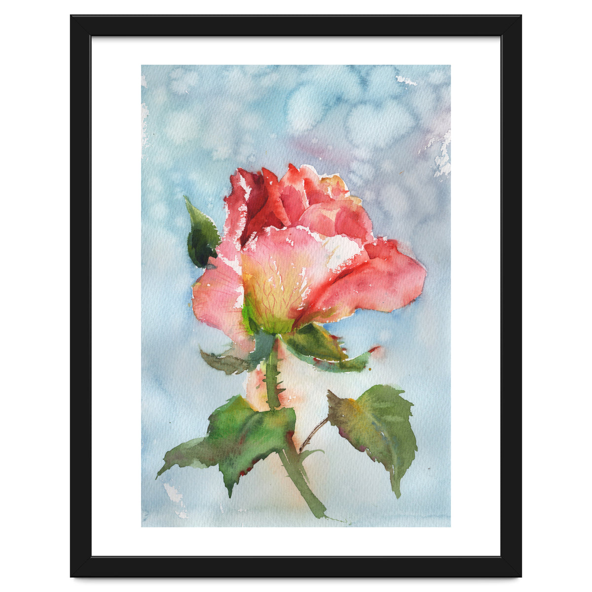 Beautiful Rose Watercolor