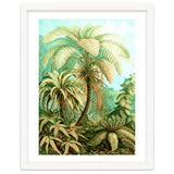 Vintage Tropical | Jungle Botanical Nature Banana Tree | Bohemian Plants Trees Forest thumbnail