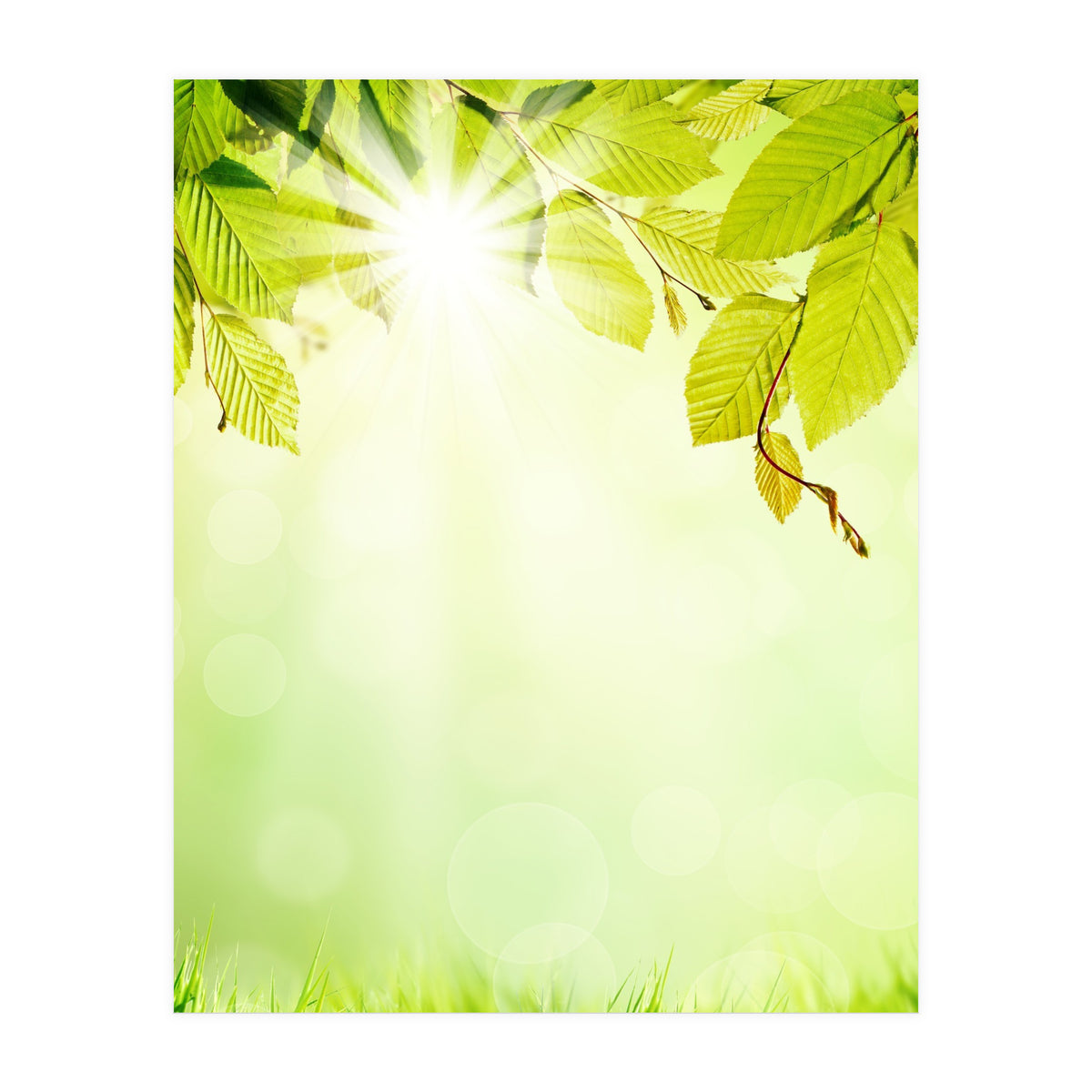 GREEN NATURE (Print Only)