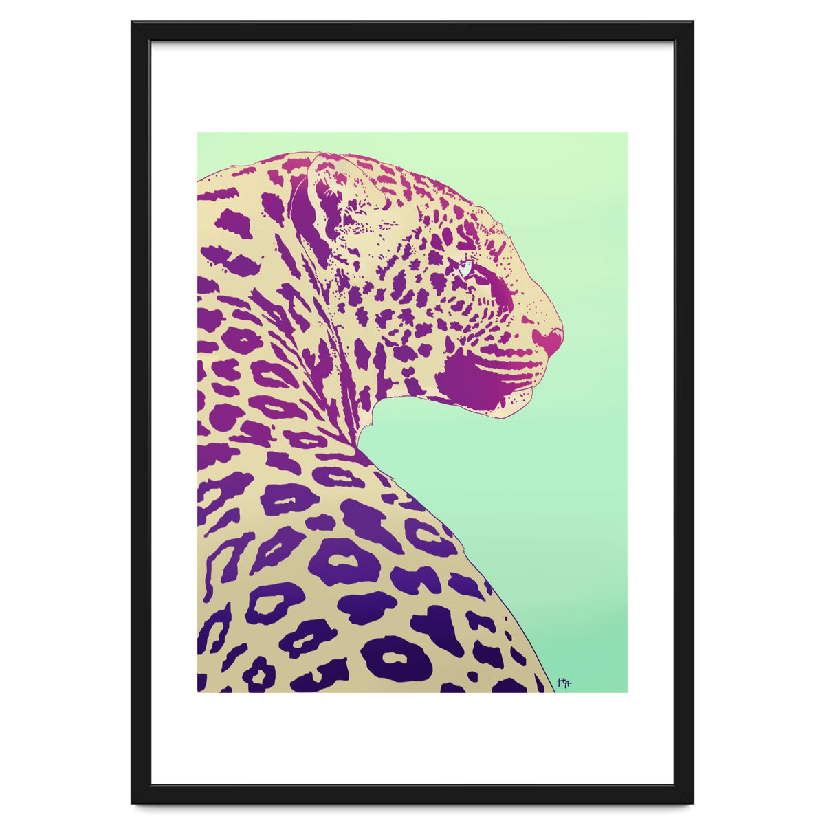 Leopard Under The Sun