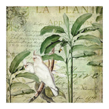 Nostalgic Cockatoo  (Print Only) thumbnail