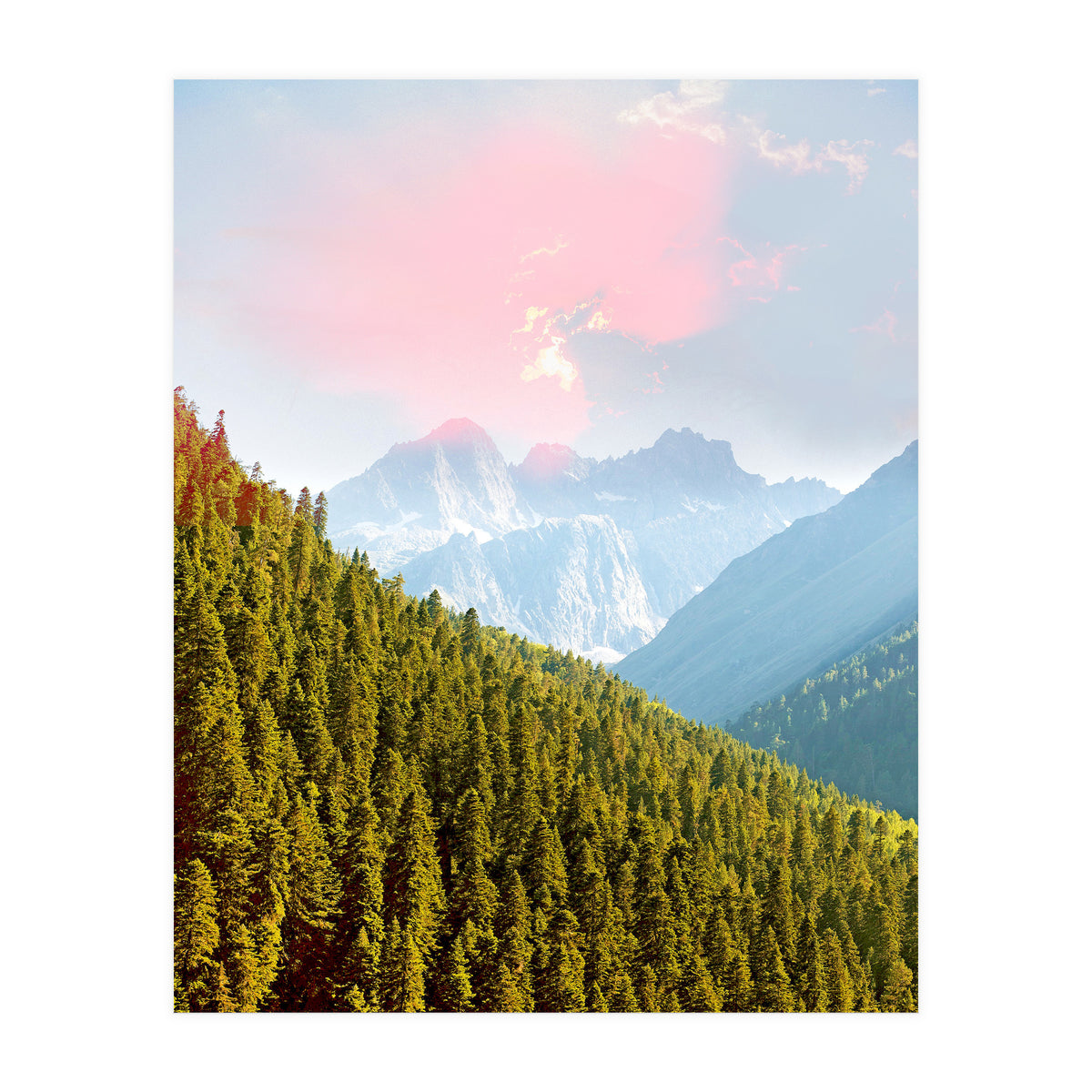 Evergreen (Print Only)