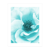 Blue Rose (Print Only) thumbnail