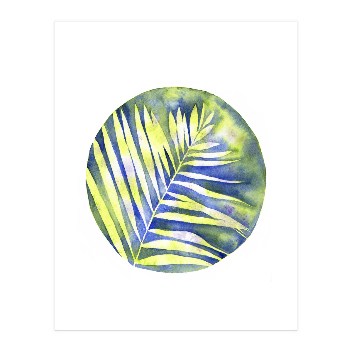 Fern Shadows Std (Print Only)