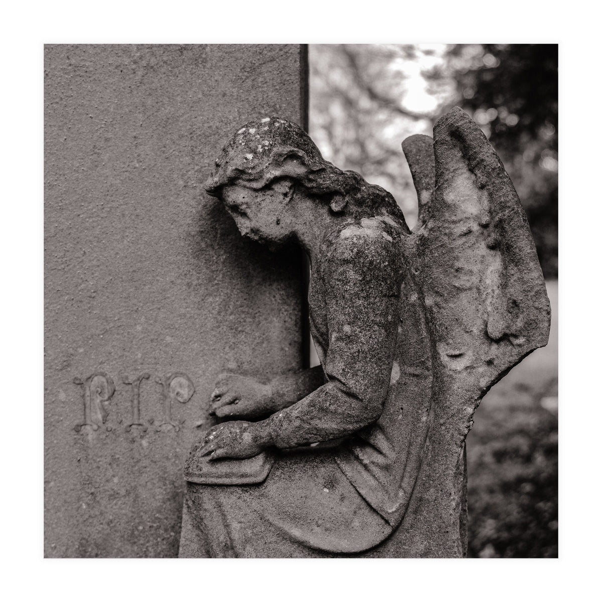 Rest in Peace (Print Only)