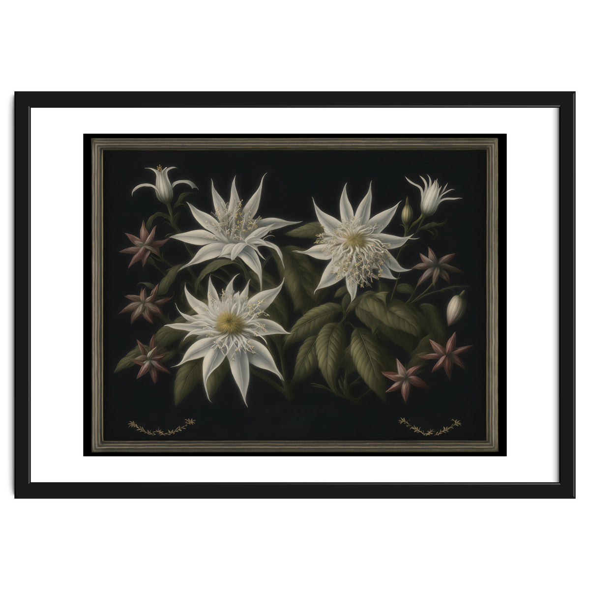 Edelweiss Vintage Illustration