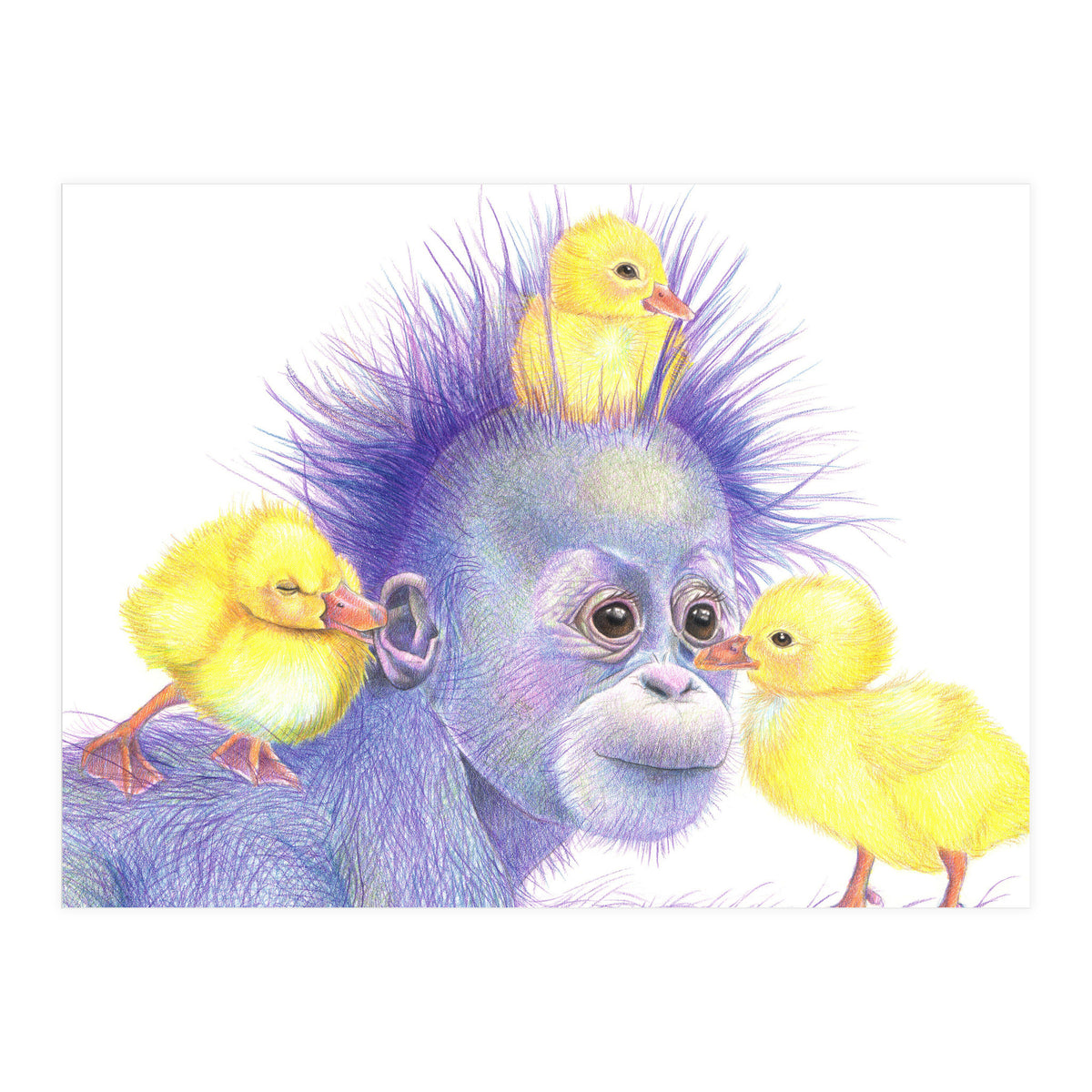 Purple Orangutan and Ducks (Print Only)