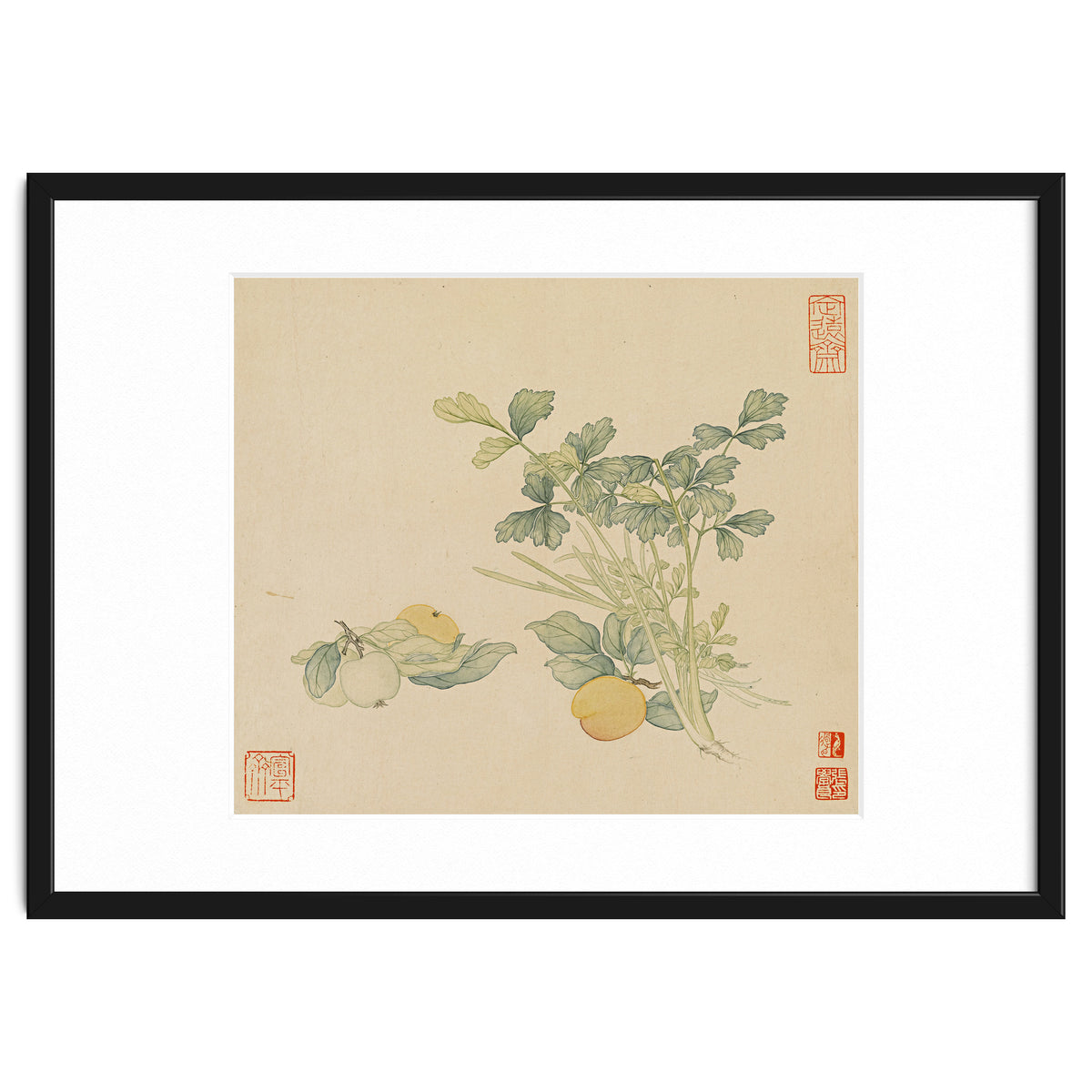 Wang Chengyu~flowers And Vegetables, Vegetables, Fruits, Plums, Apricots, Celery