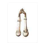 Handshrooms (Print Only) thumbnail