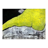 Female Act 23 (Print Only) thumbnail