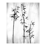 Hosta 3 (Print Only) thumbnail