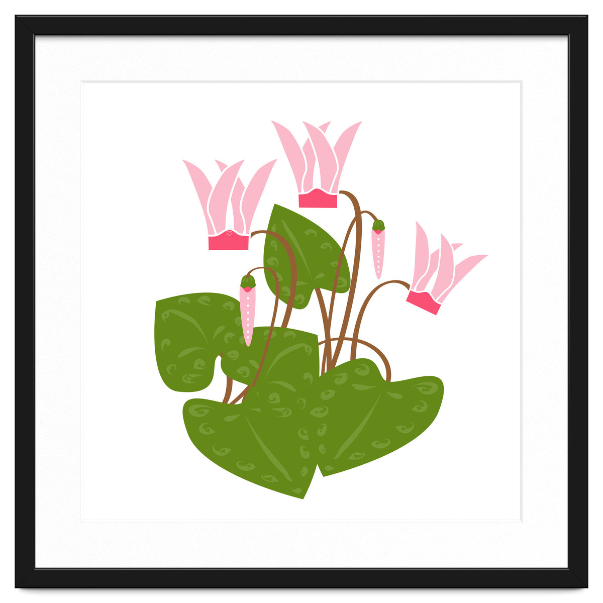Cascading Cyclamen