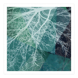 P19-E3 Trees and Triangles (Print Only) thumbnail