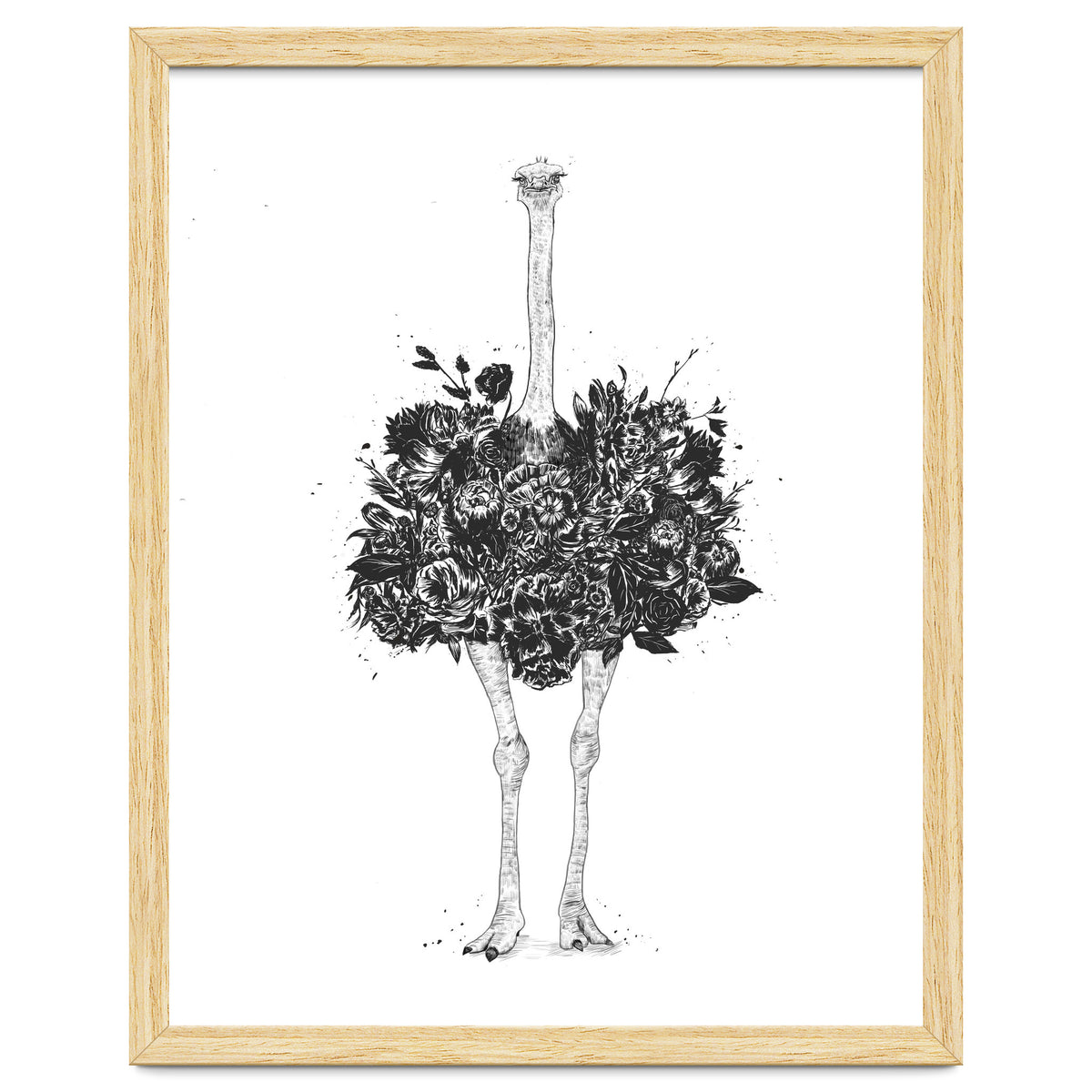 Floral Ostrich