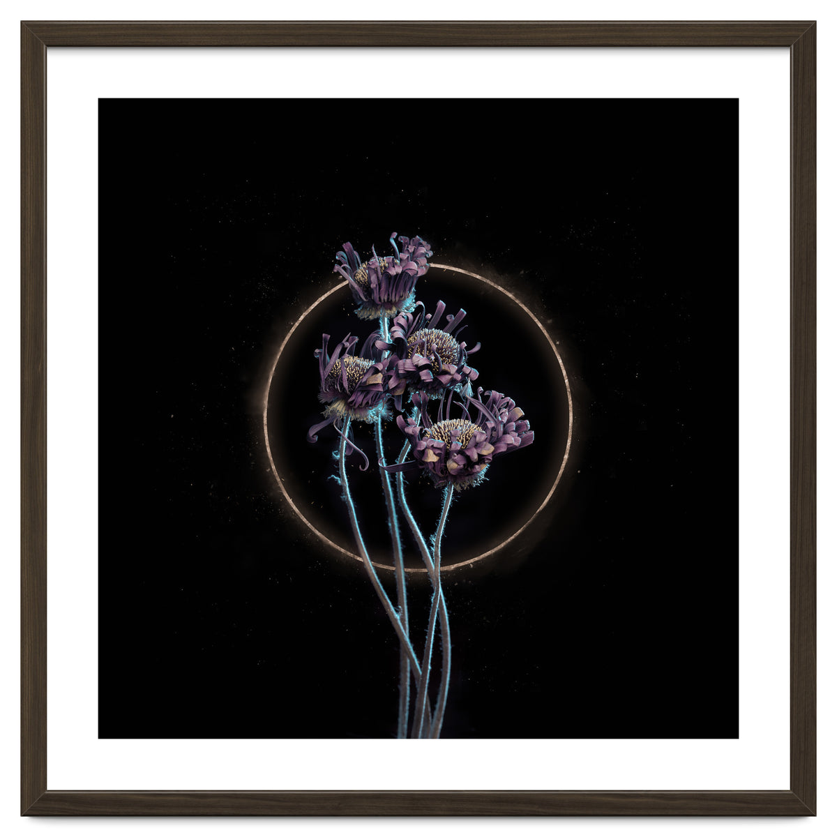 Candy-Coloured Mystery