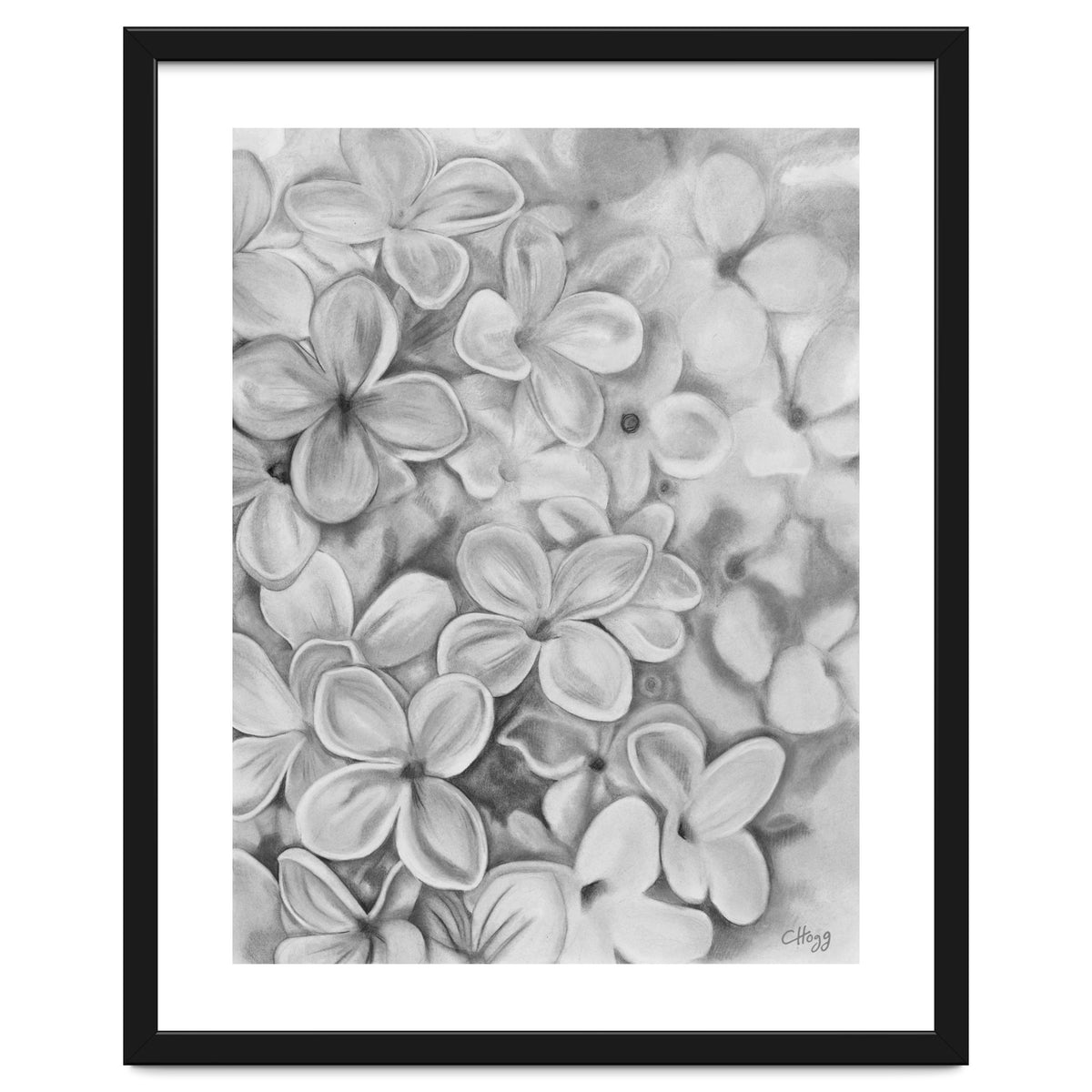 The Essence Of Spring in Monochrome