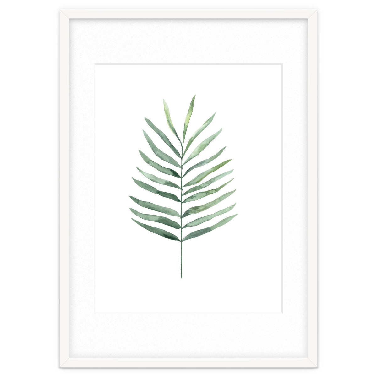 Botanical Illustration Fern