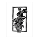 Fiddle Leaf Fig (Print Only) thumbnail