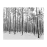 Let It Snow Forest (Print Only) thumbnail