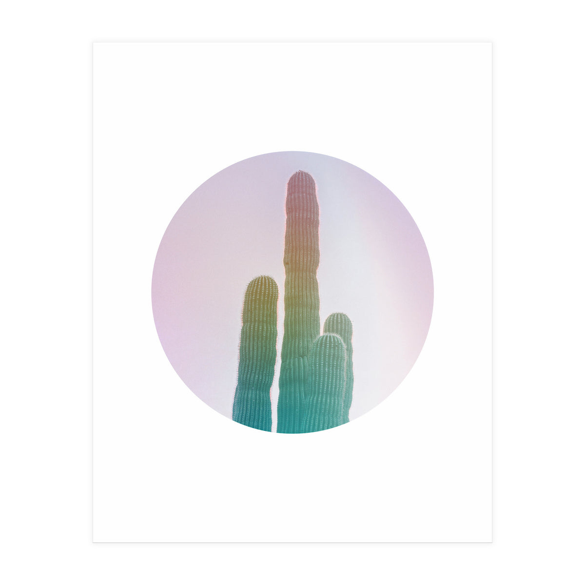 Circular Cacti (Print Only)