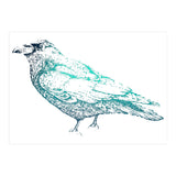 Teal Raven (Print Only) thumbnail