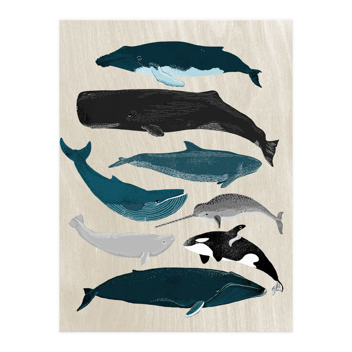 Whales (Print Only)